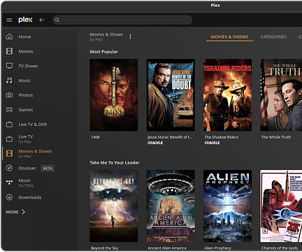 Plex media library interface