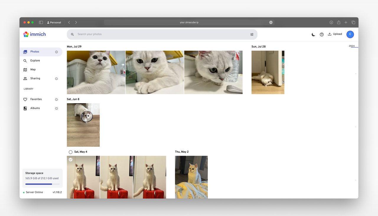 Immich app with photos