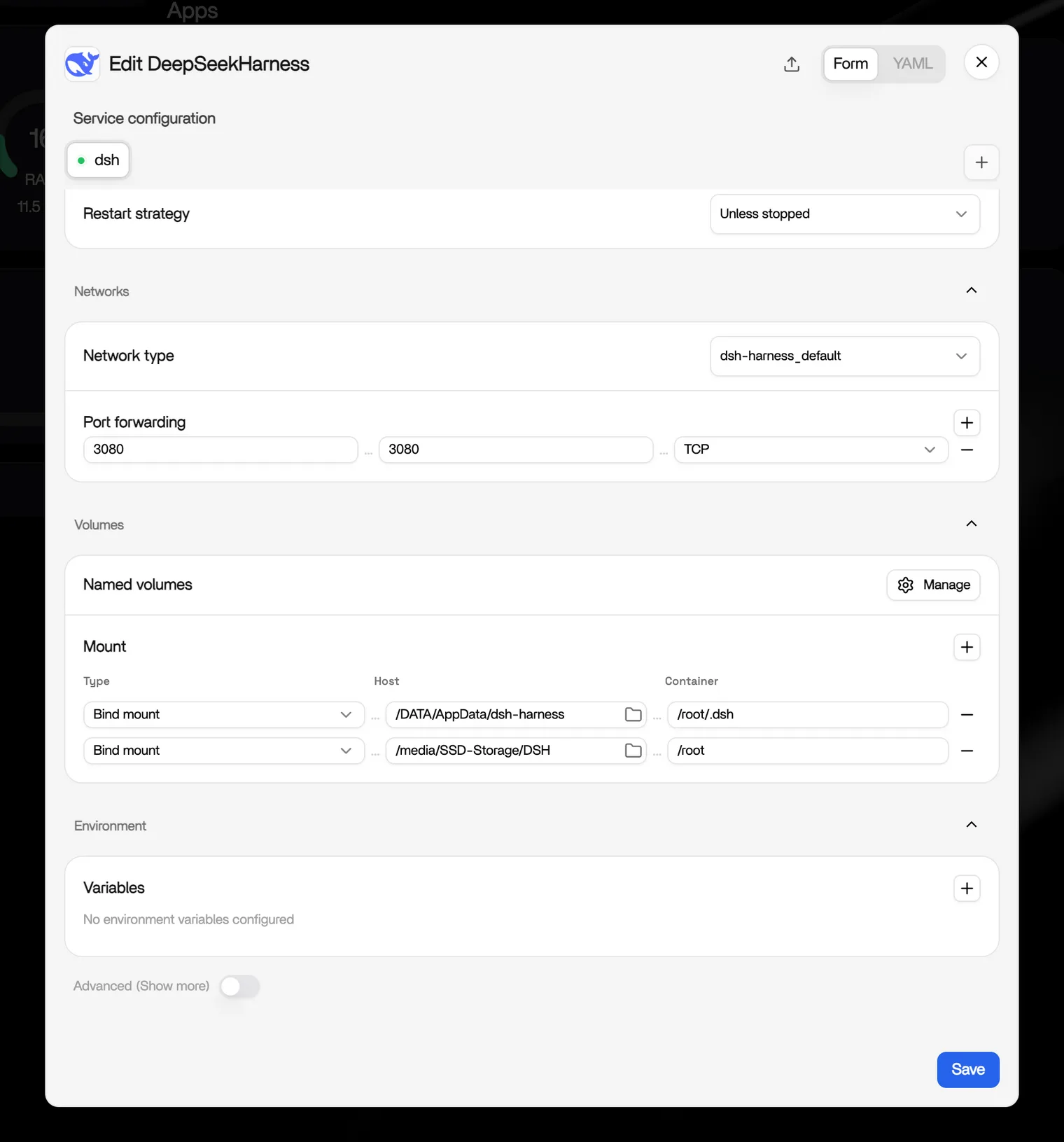 App settings Volumes section with the agent data folder mapped from the container root to a host folder
