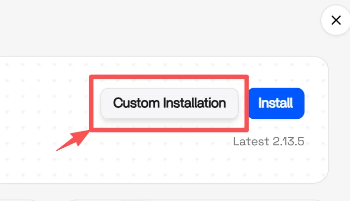 安装前已选中 Custom Installation 的 Nginx Proxy Manager 应用页面