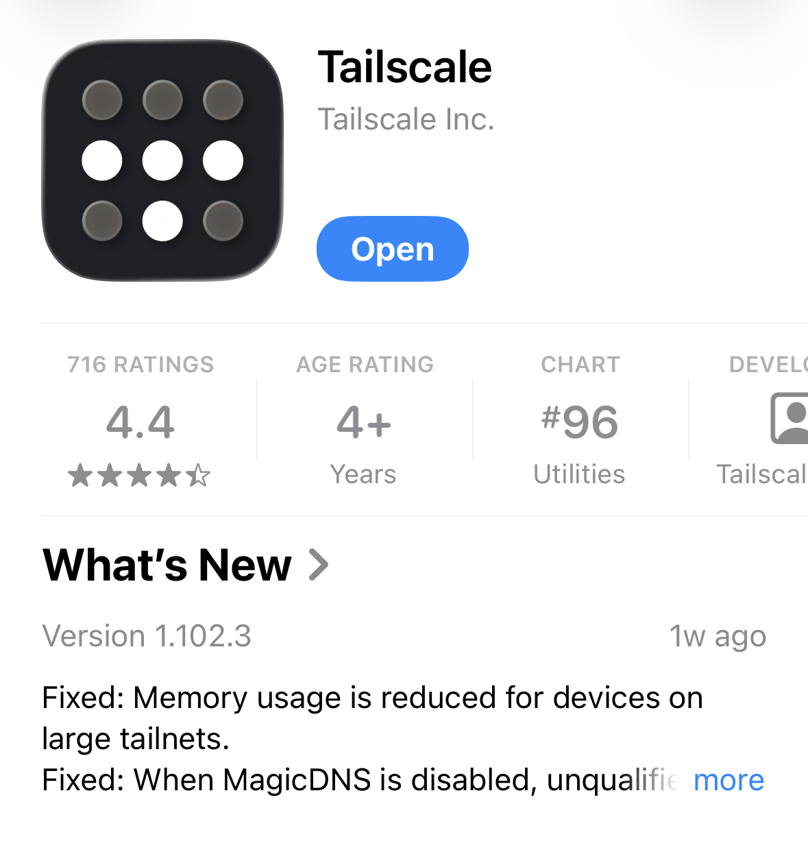 Aplicación Tailscale en iOS mostrando el servidor doméstico conectado al tailnet